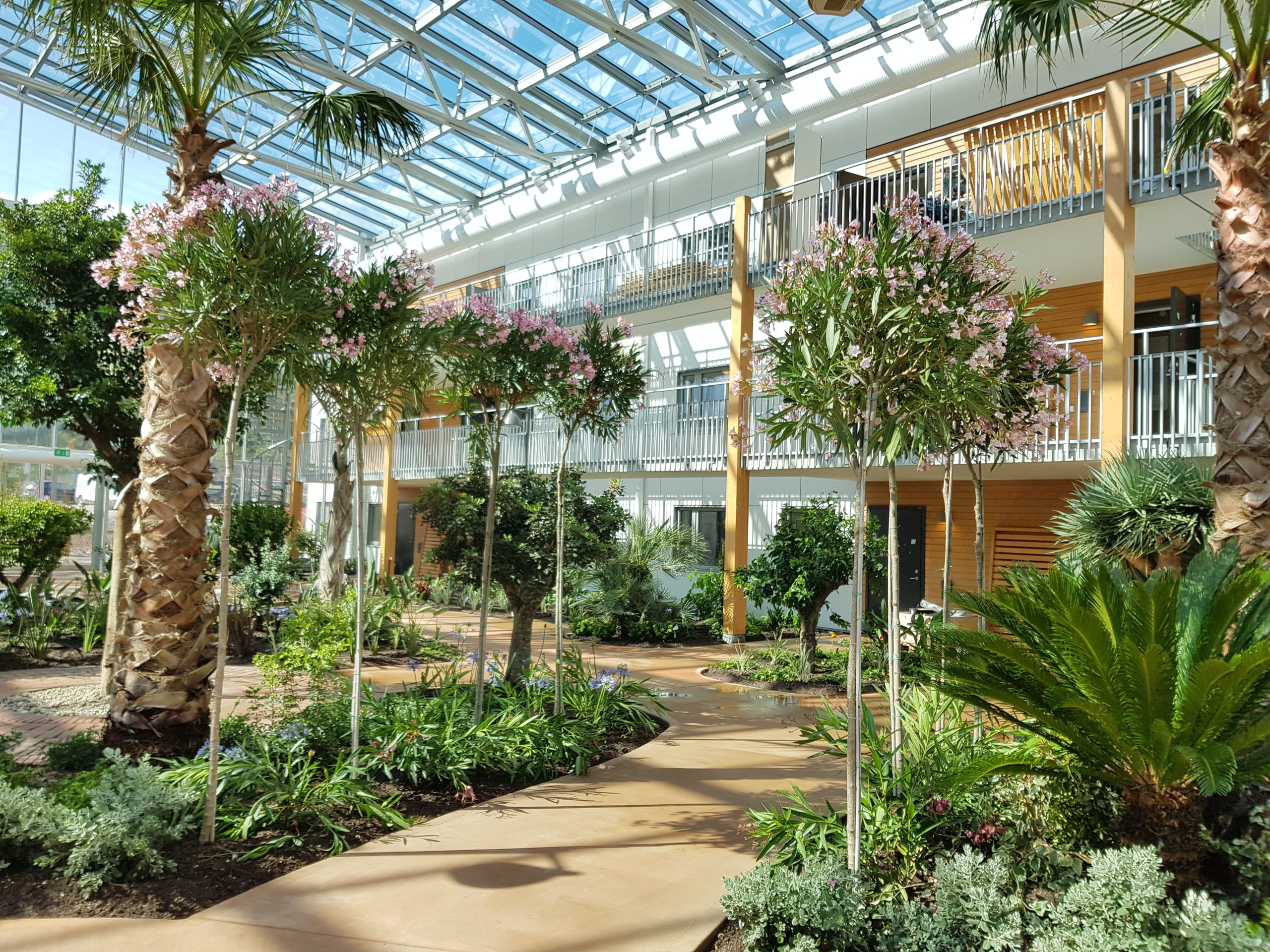Vinterträdgårdar och atrium