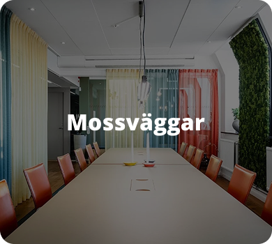 Mossvägg